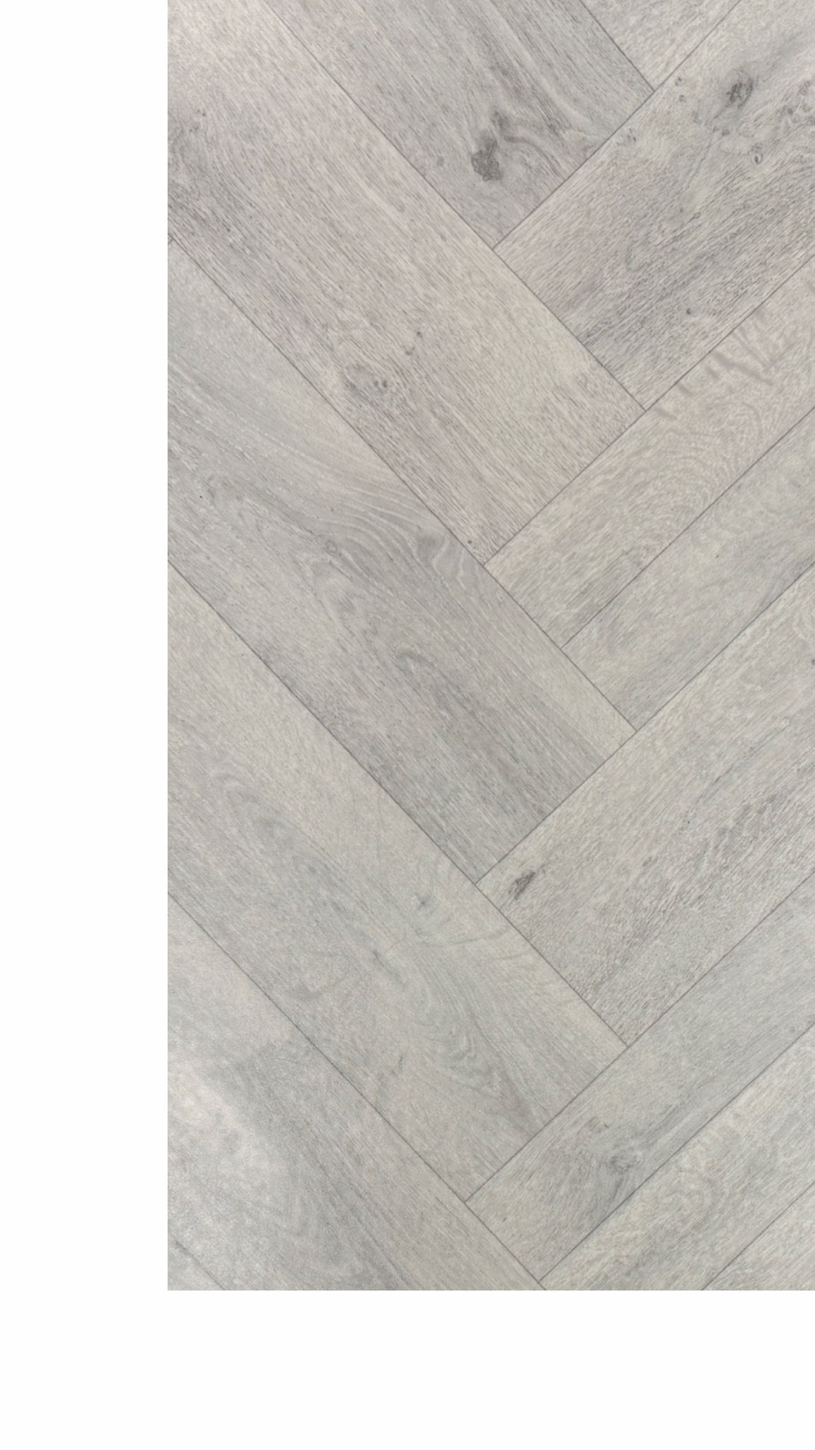 Linoleum 2